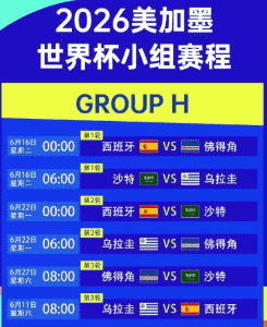 世界杯比赛用球
